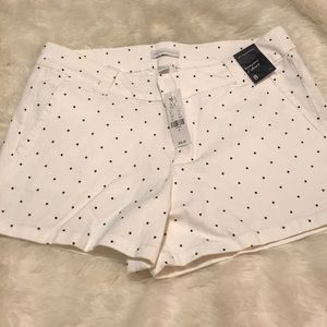 New York & Co shorts